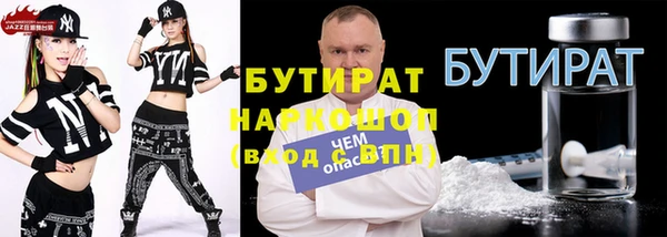 индика Кулебаки