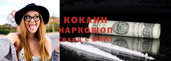 индика Кулебаки