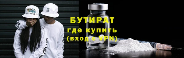 индика Кулебаки