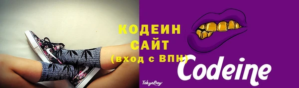 индика Кулебаки