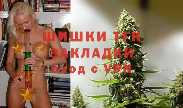 индика Кулебаки
