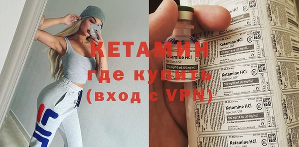 индика Кулебаки