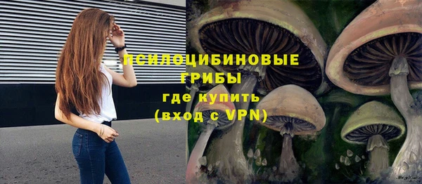 индика Кулебаки