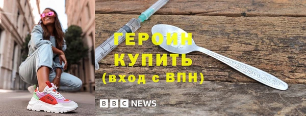 индика Кулебаки