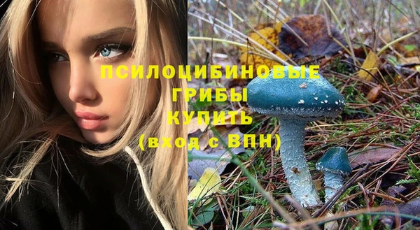индика Кулебаки