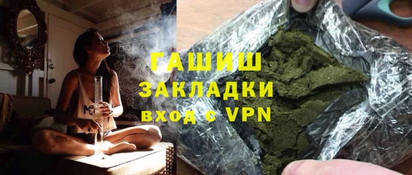 индика Кулебаки