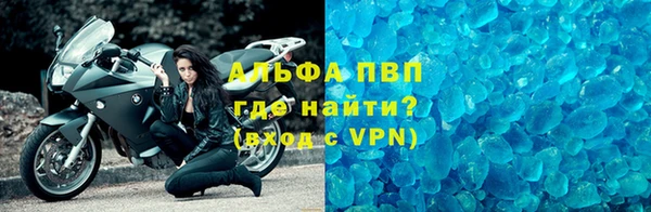 индика Кулебаки