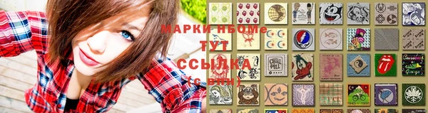 индика Кулебаки