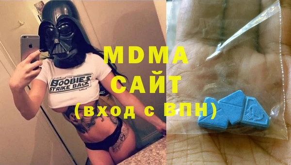индика Кулебаки