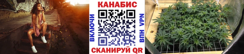 где можно купить наркотик  Тосно  Шишки марихуана White Widow 